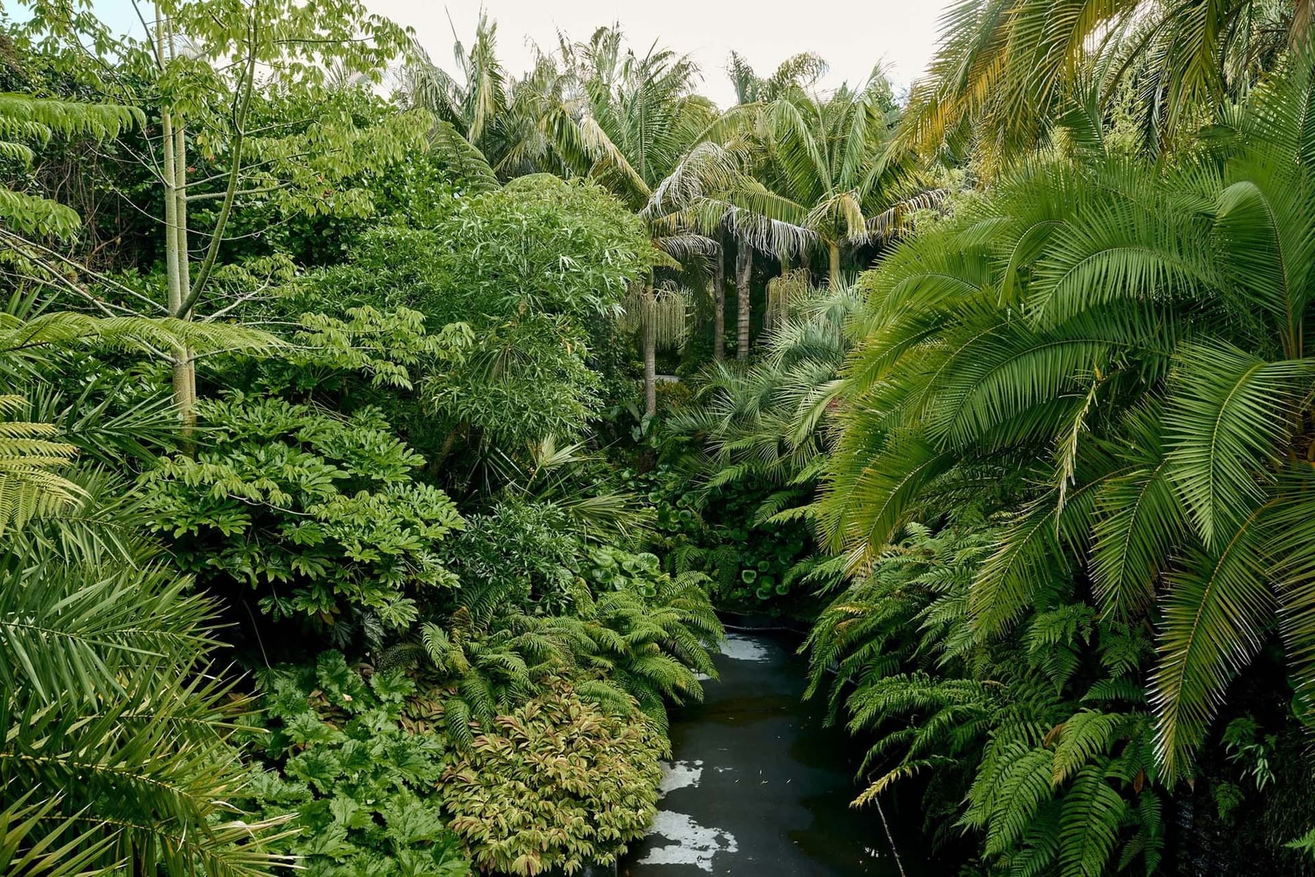 Découvrez Hamilton Gardens en Nouvelle-Zélande