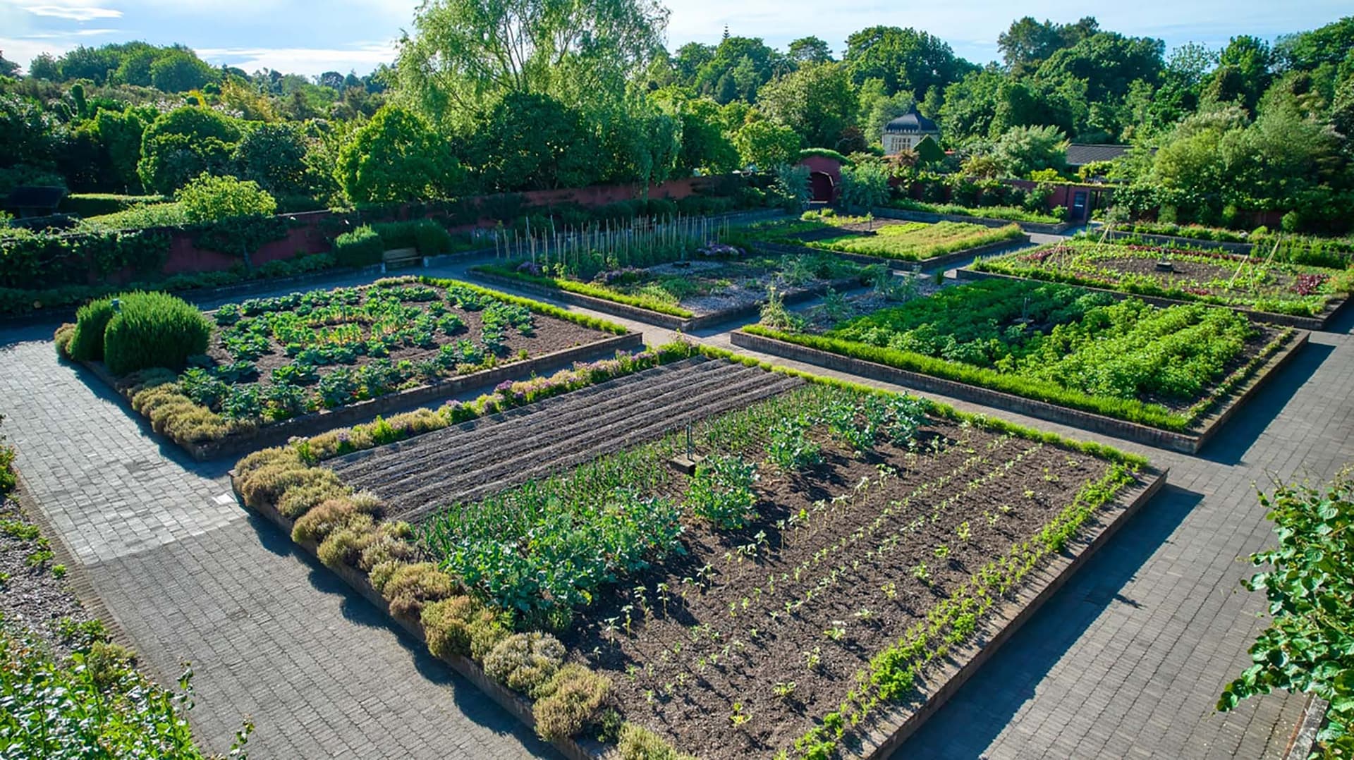 Le Potager du jardin