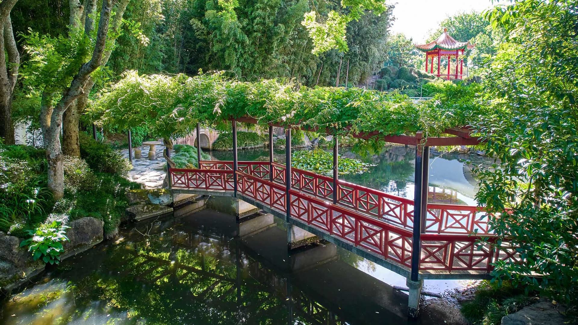 Découvrez Hamilton Gardens en Nouvelle-Zélande
