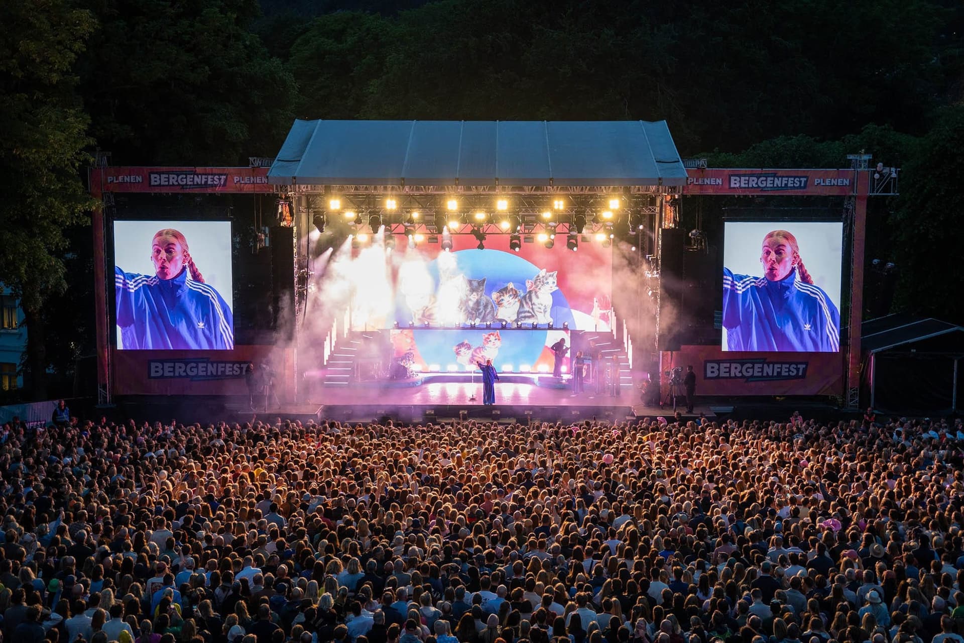 Les différents pass pour le Bergenfest