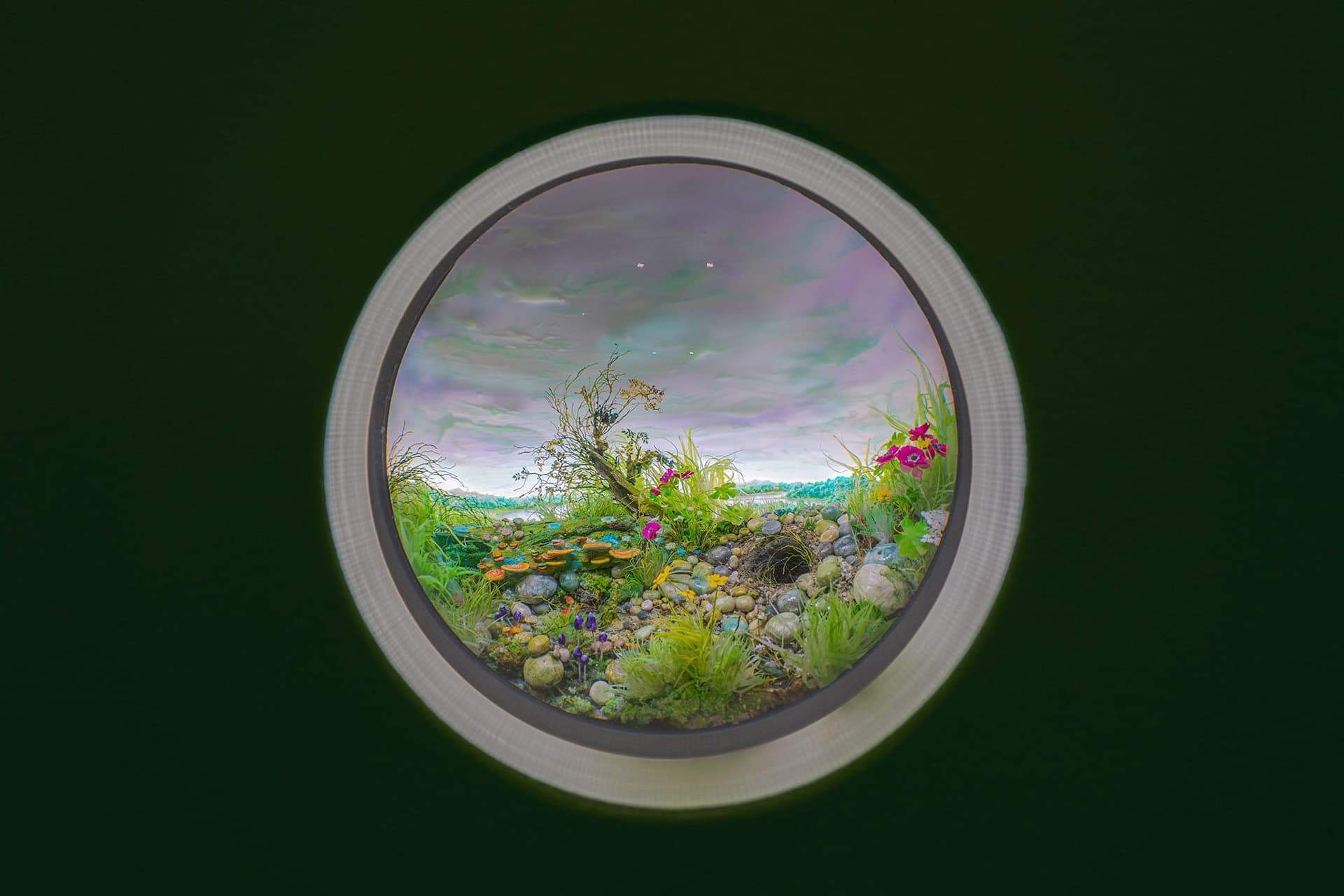 Exposition Wonderland: Curious Nature au Jardin Botanique de New York