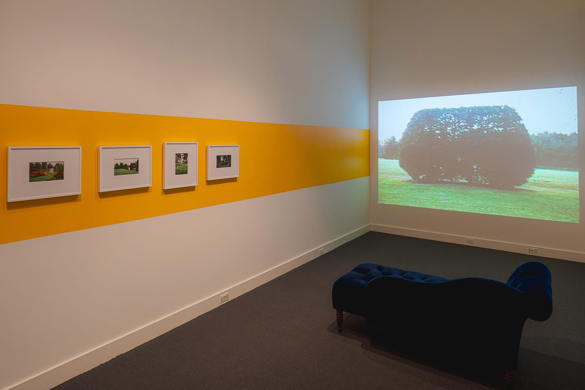 Exposition Wonderland: Curious Nature au Jardin Botanique de New York