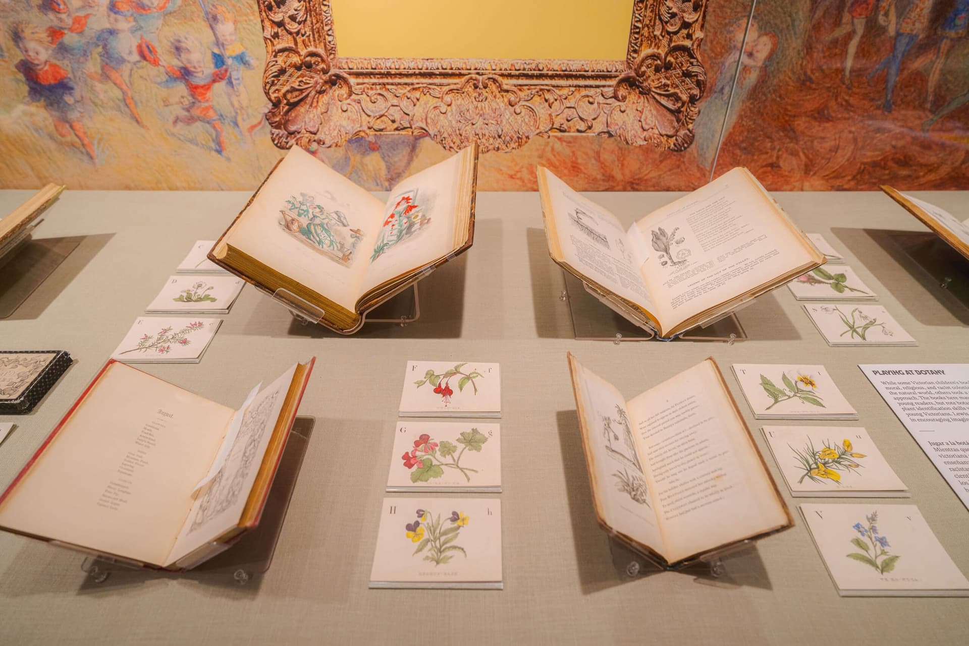 Exposition Wonderland: Curious Nature au Jardin Botanique de New York