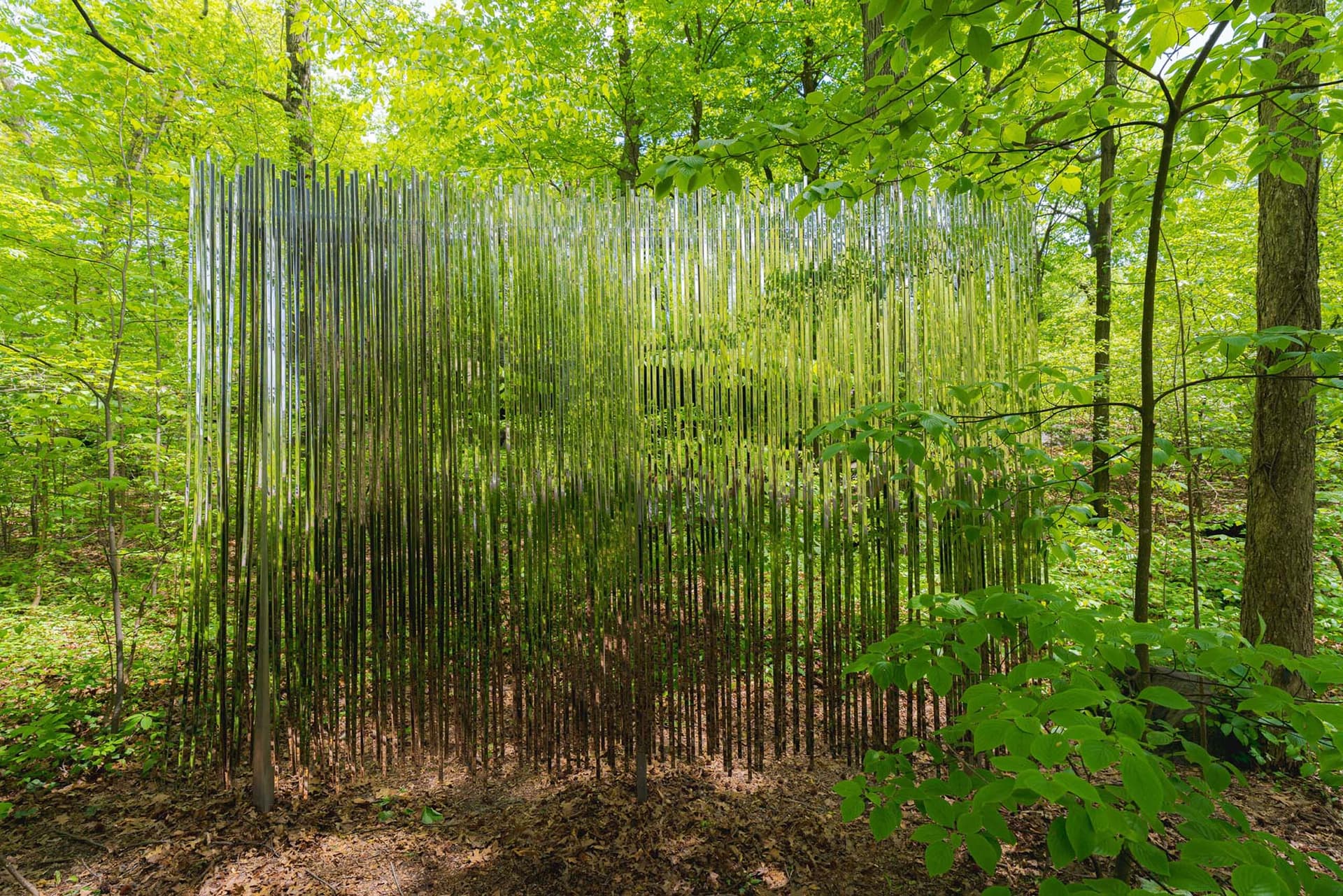 Exposition Wonderland: Curious Nature au Jardin Botanique de New York