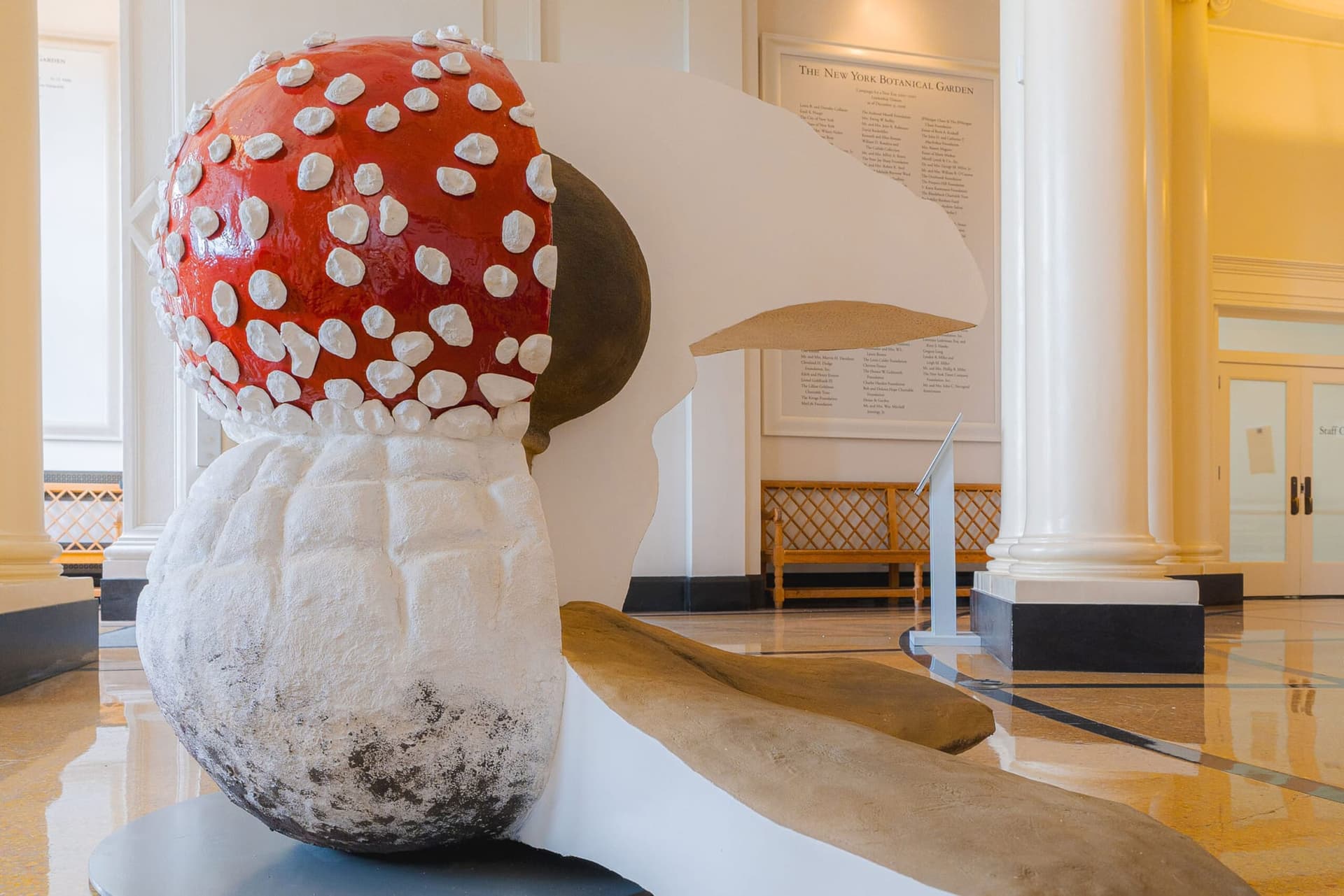 Exposition Wonderland: Curious Nature au Jardin Botanique de New York