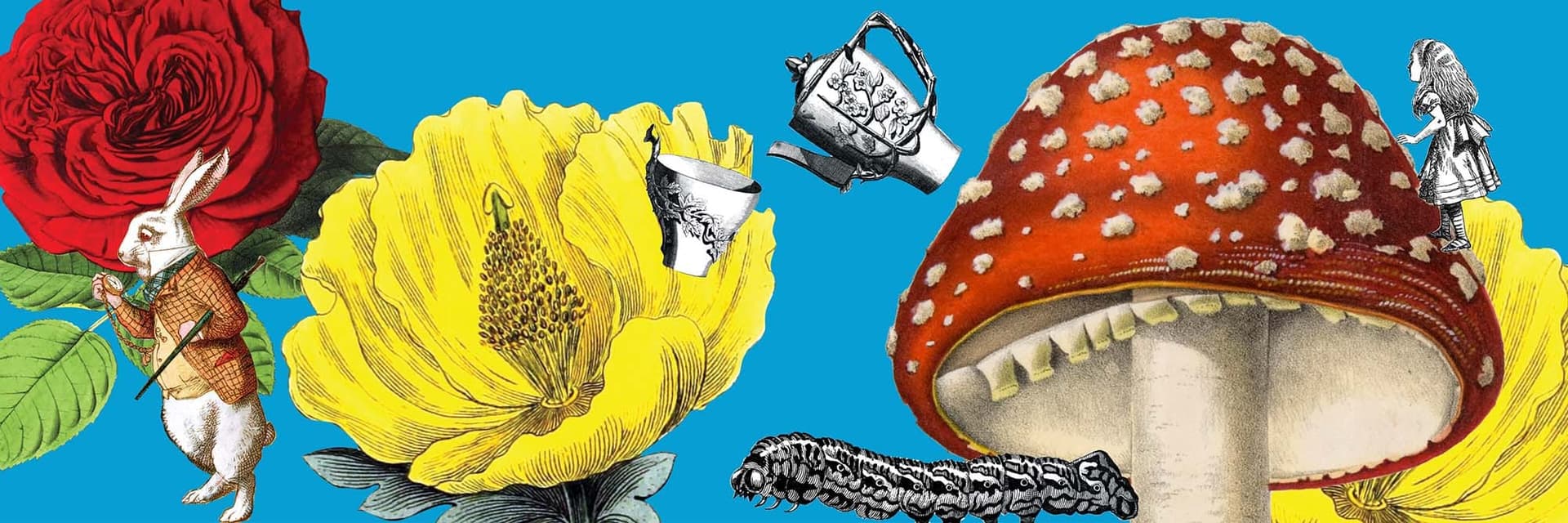 Tout savoir sur l'exposition Wonderland: Curious Nature