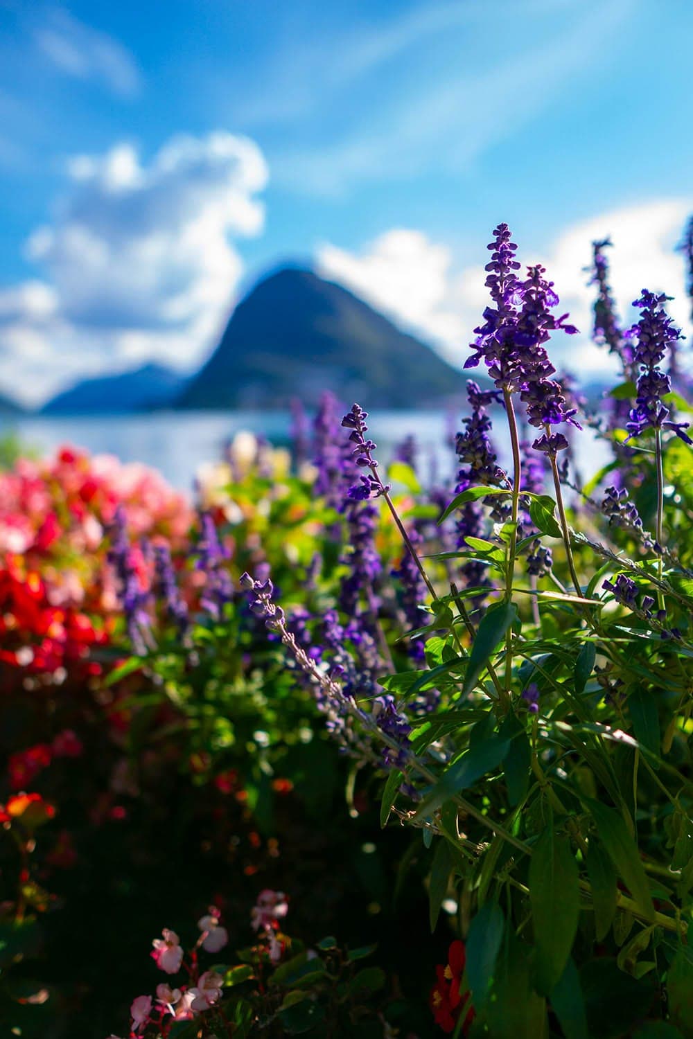 Que faire à Lugano en Suisse : Une escapade authentique au cœur de la Dolce Vita