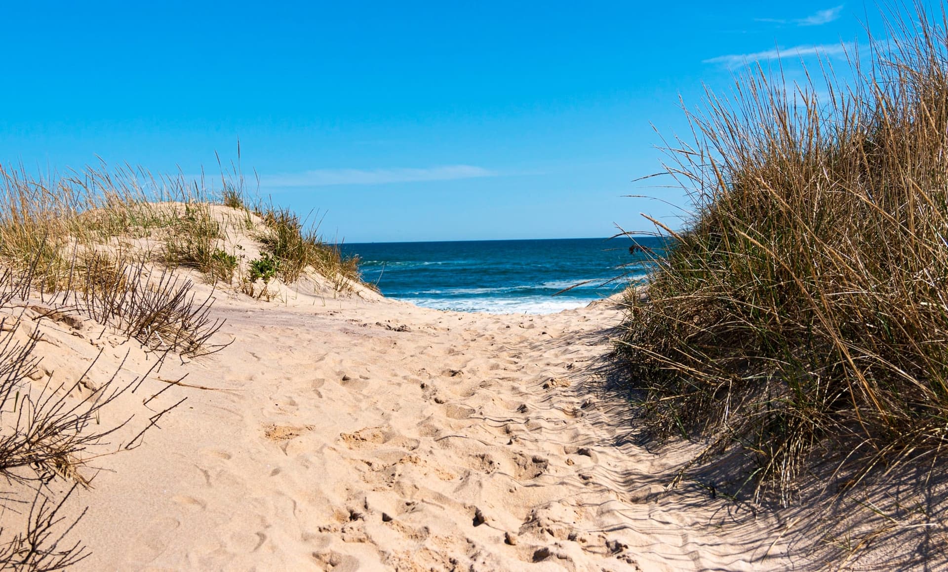 Les bonnes raisons de visiter les plages de New York