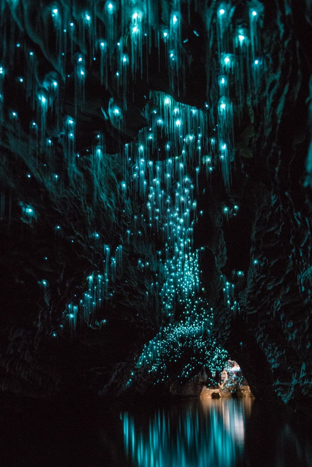Visiter les grottes de Waitomo en Nouvelle-Zélande : une expérience magique