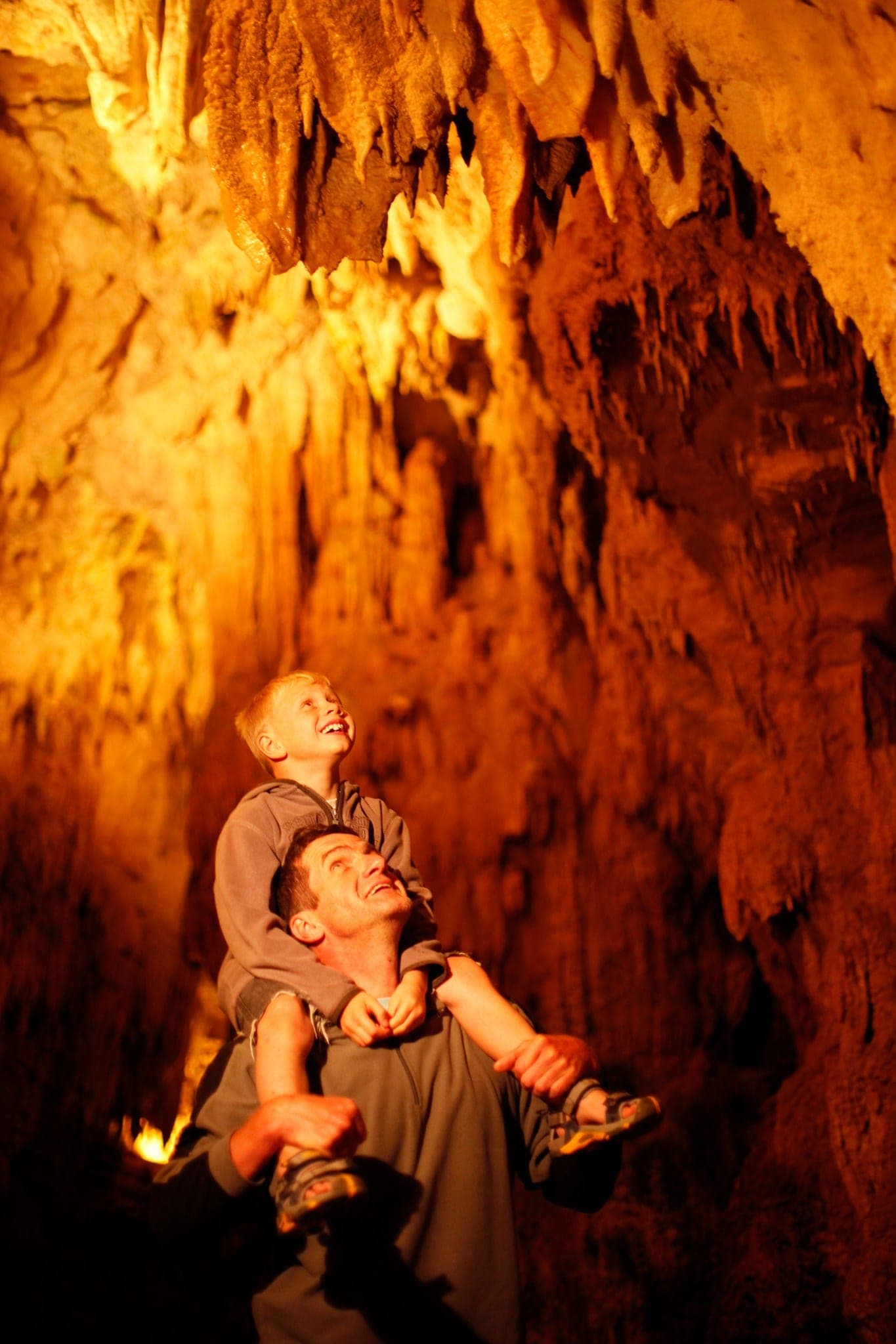 Visiter les grottes de Waitomo en Nouvelle-Zélande : une expérience magique