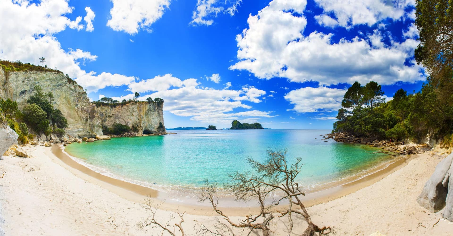 L’Incroyable Cathedral Cove à Coromandel : le guide complet