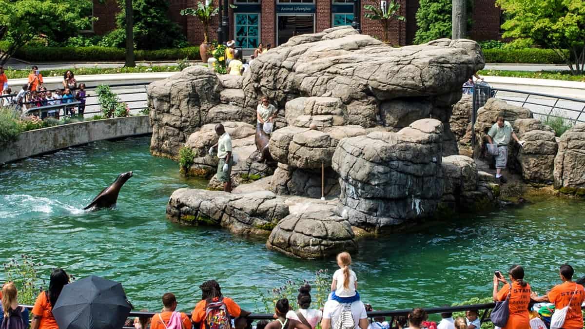 Visitez le zoo de Prospect Park