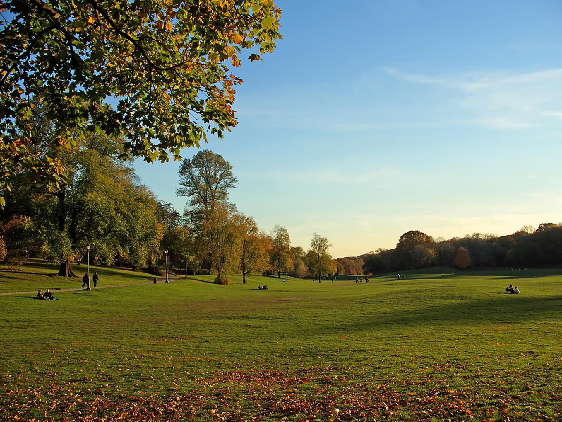 Les étendues d'herbe de Prospect Park