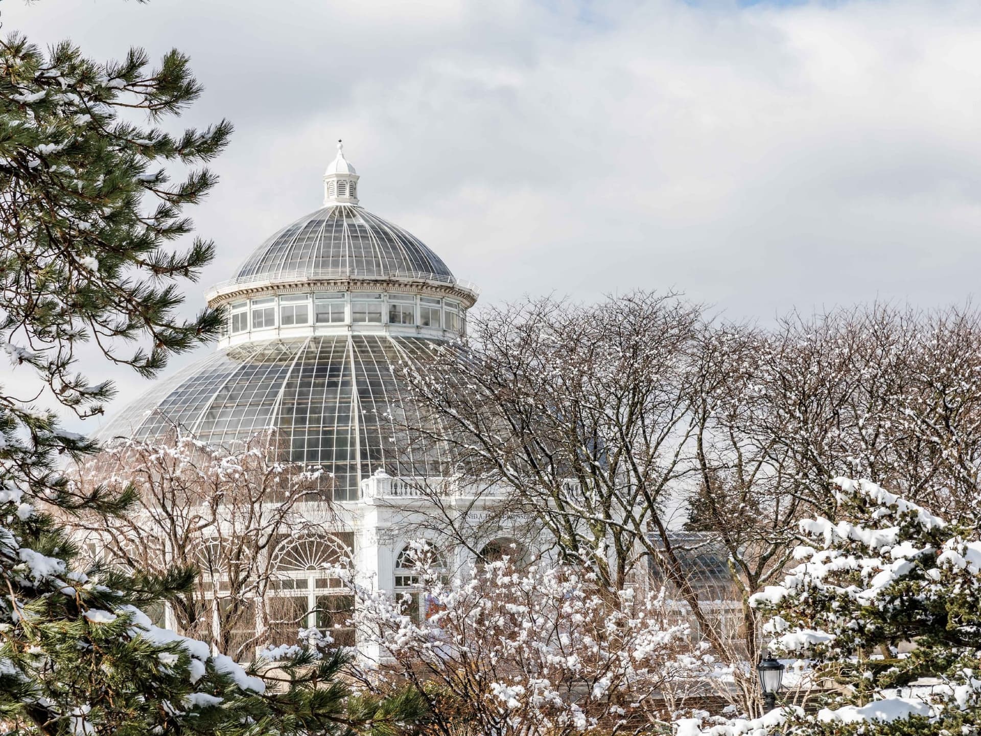 Guide Ultime du New York Botanical Garden dans le Bronx