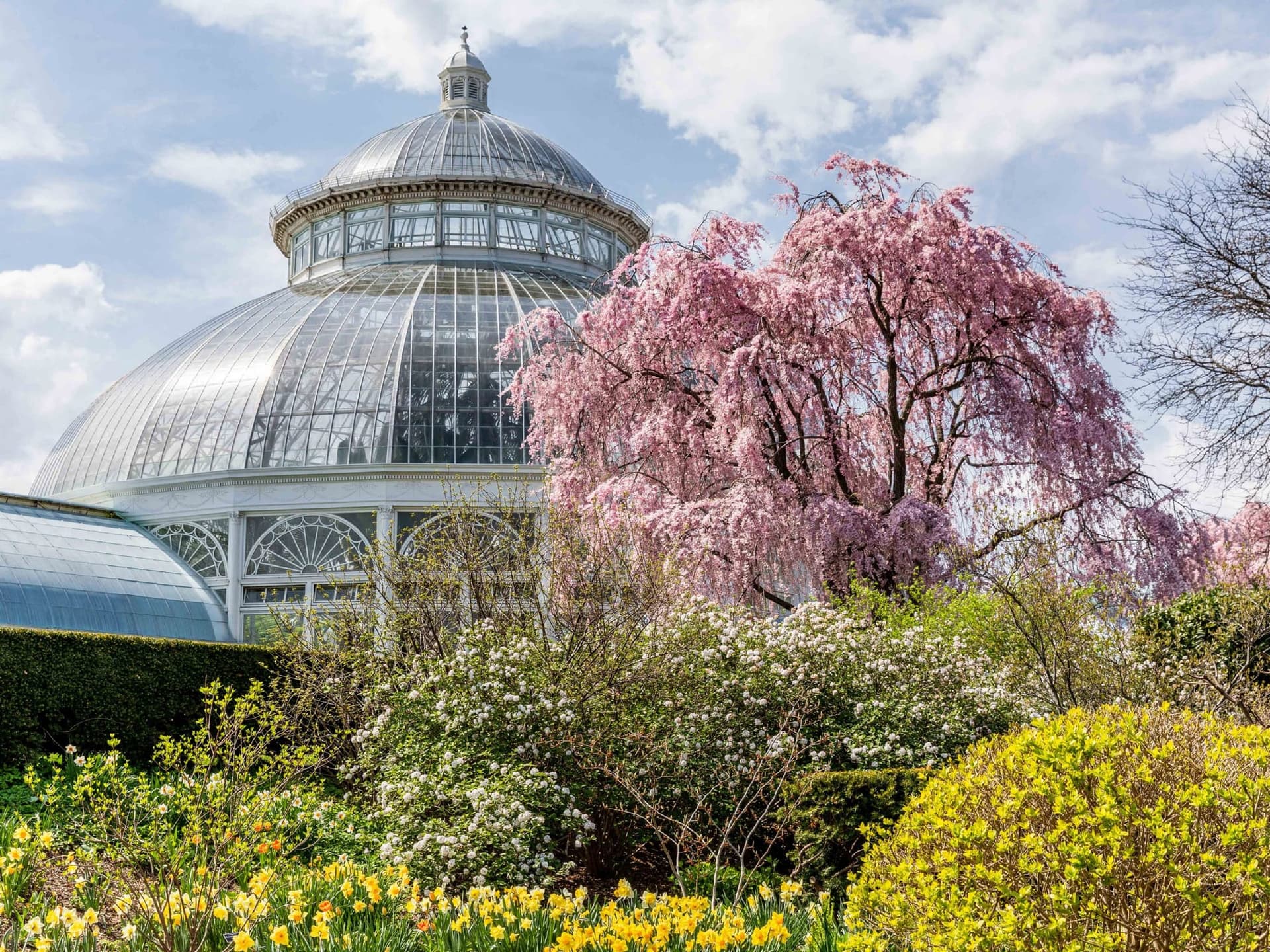 Guide Ultime du New York Botanical Garden dans le Bronx