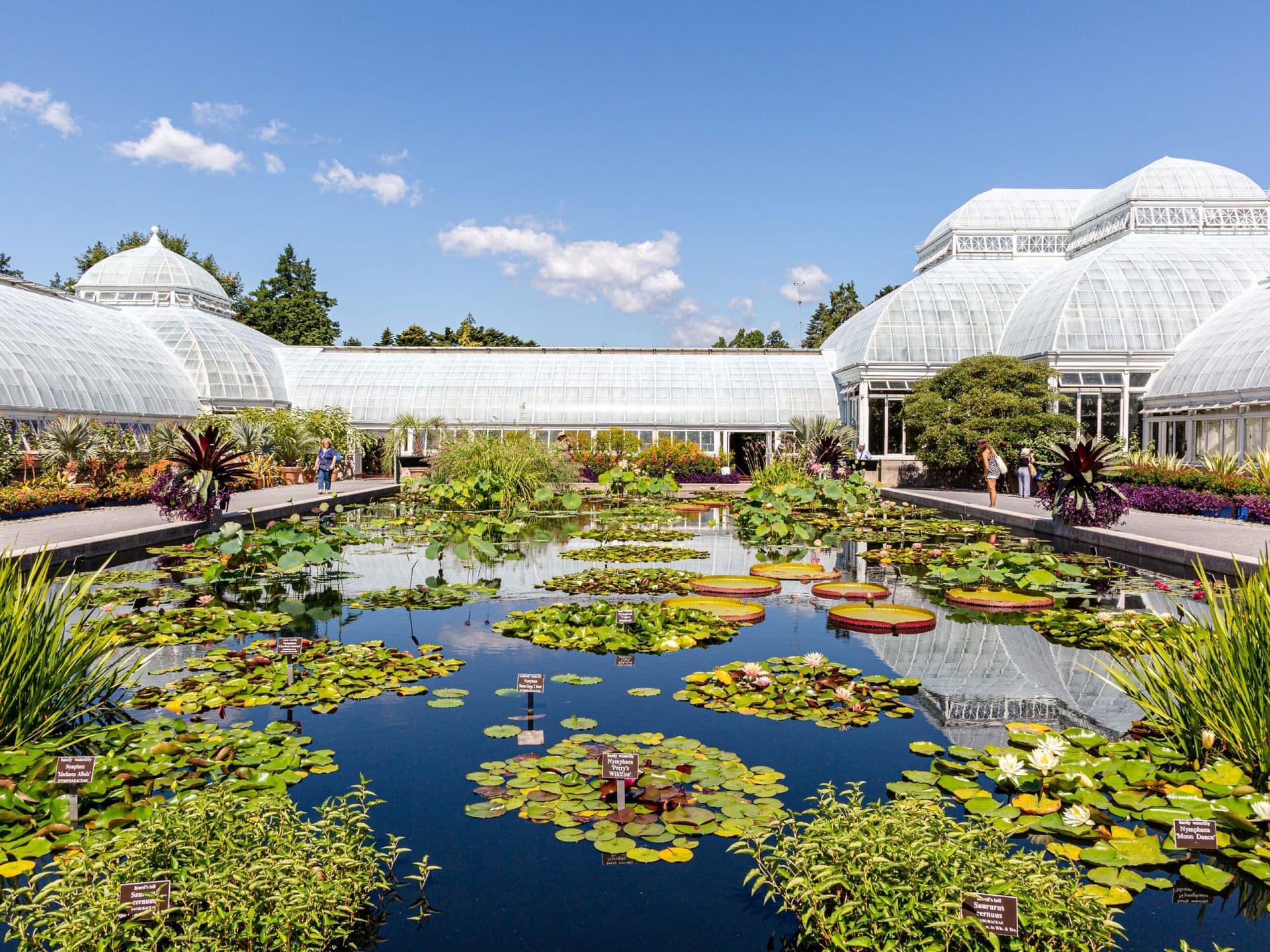 Guide Ultime du New York Botanical Garden dans le Bronx