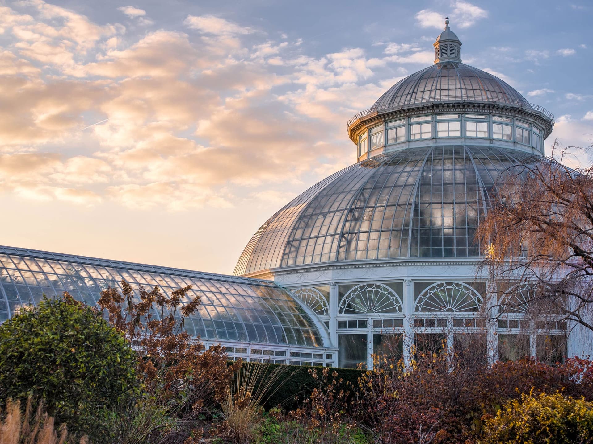 Guide Ultime du New York Botanical Garden dans le Bronx