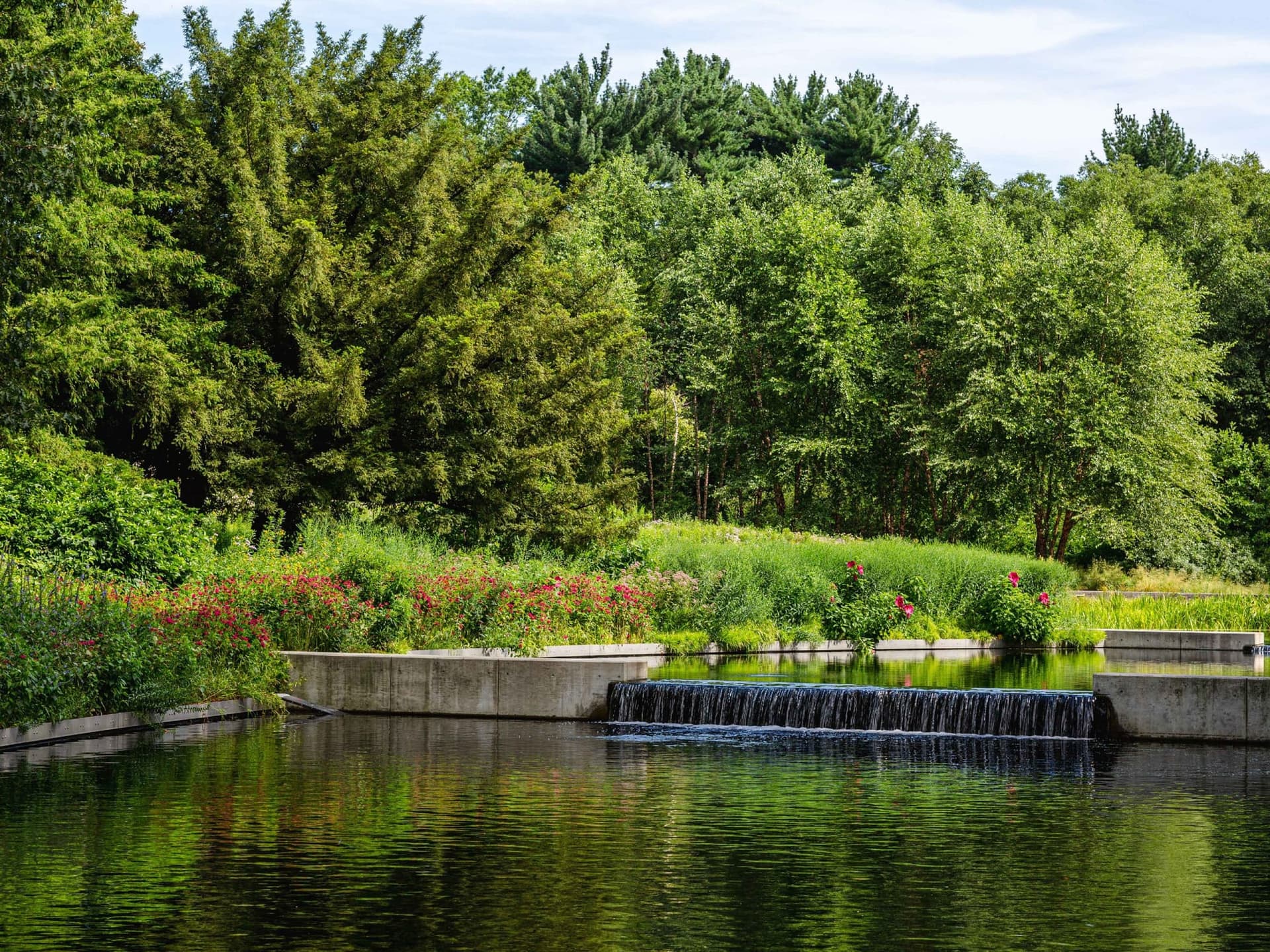Native Plant Garden