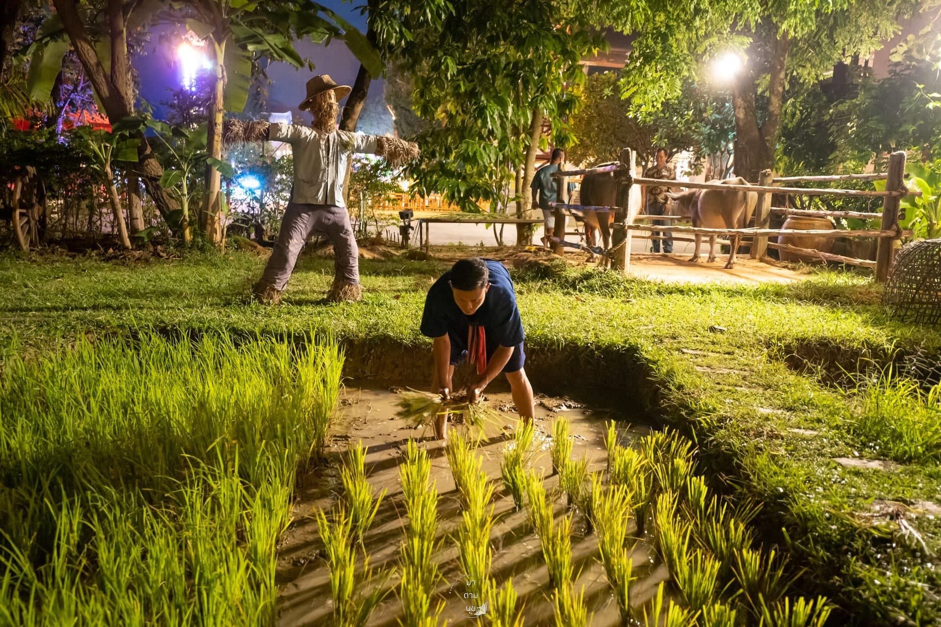 Siam Niramit Phuket – Le meilleur show de Thaïlande ?
