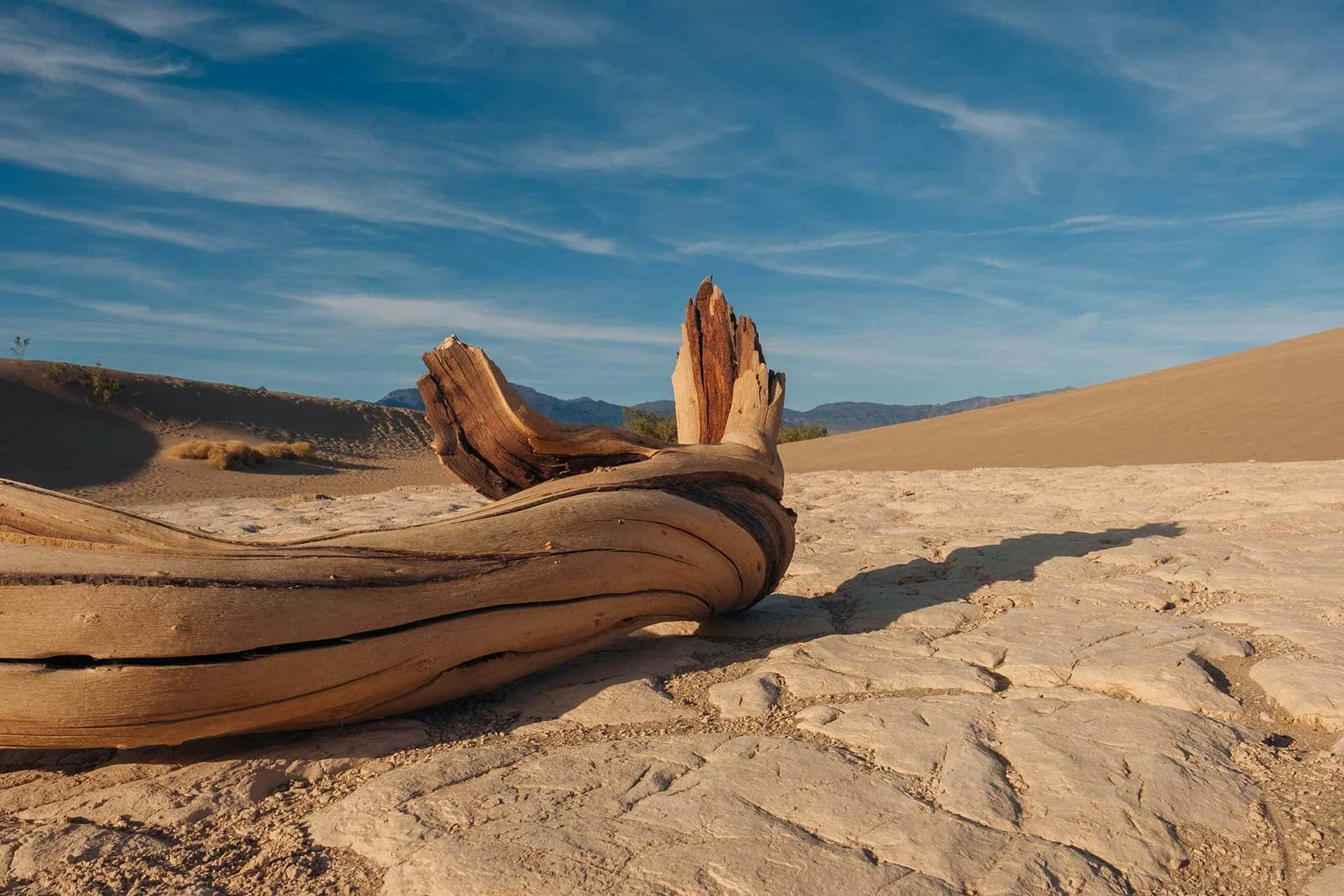 Une chaleur record dans la Vallée de la Mort ️