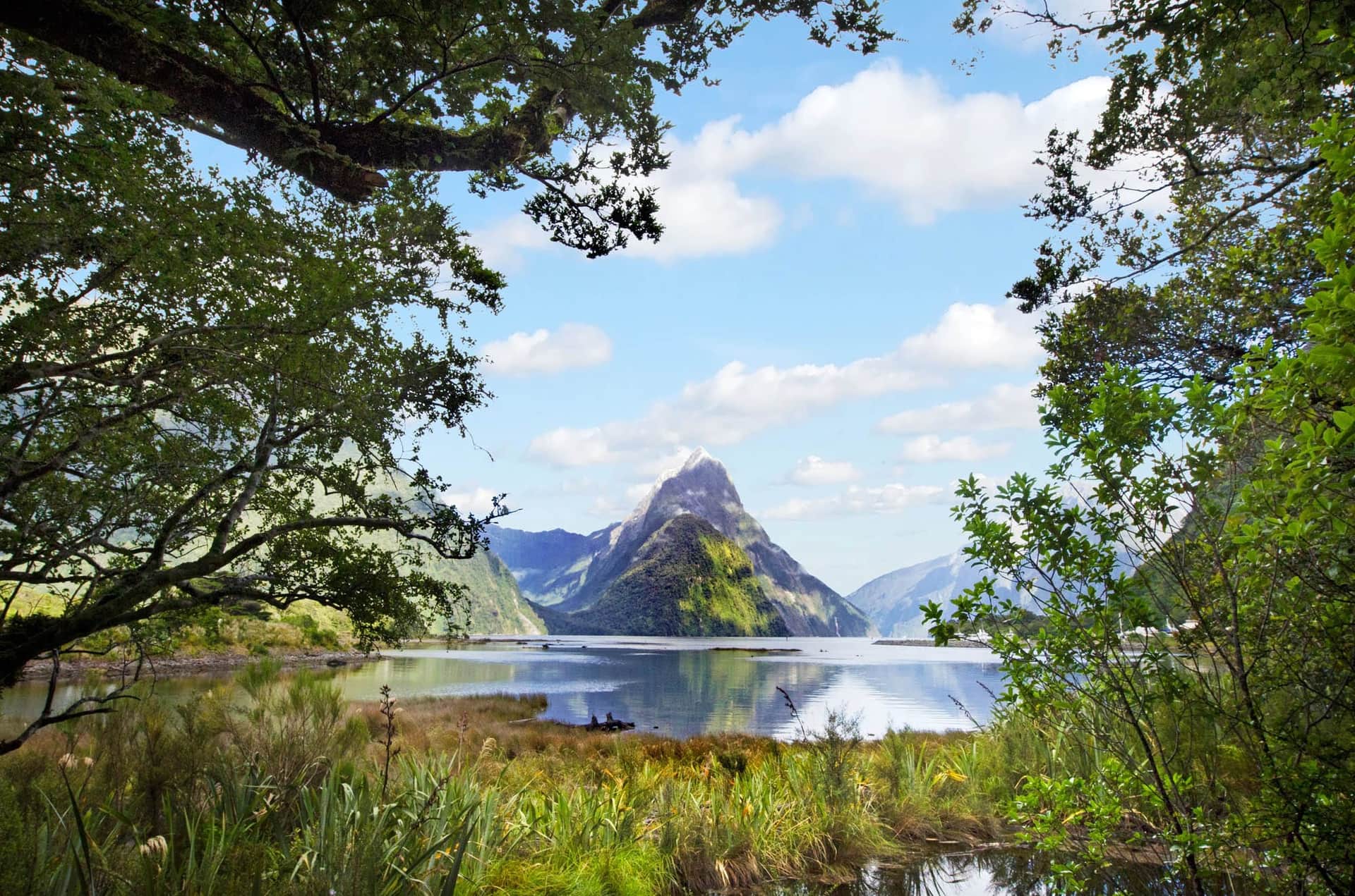 Les Fjords Méconnus de Nouvelle-Zélande