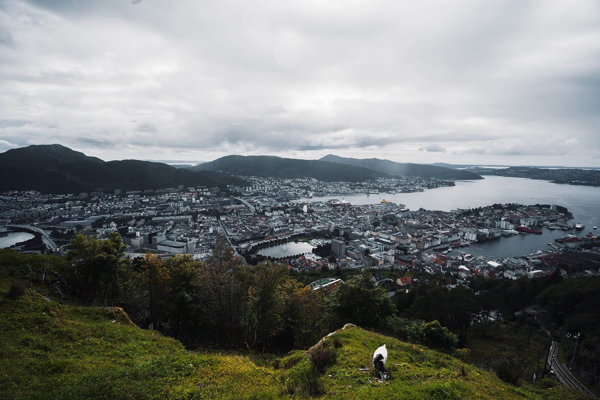 Les 7 meilleures randonnées de Bergen : Une aventure norvégienne inoubliable