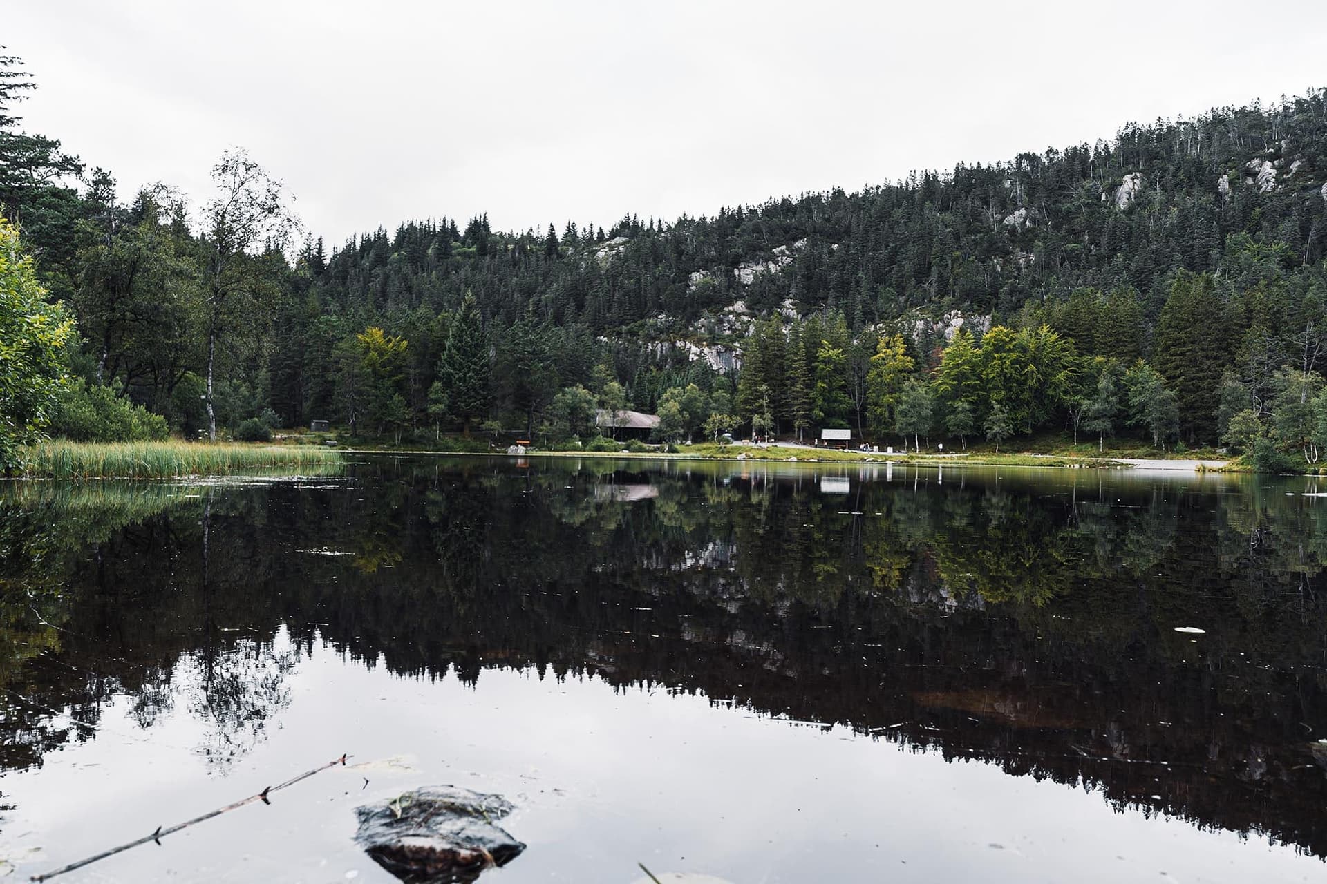 Les 7 meilleures randonnées de Bergen : Une aventure norvégienne inoubliable