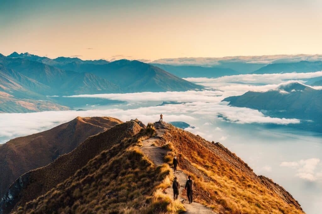 Nature sauvage de Nouvelle-Zelande, troisieme pays le plus paisible au monde