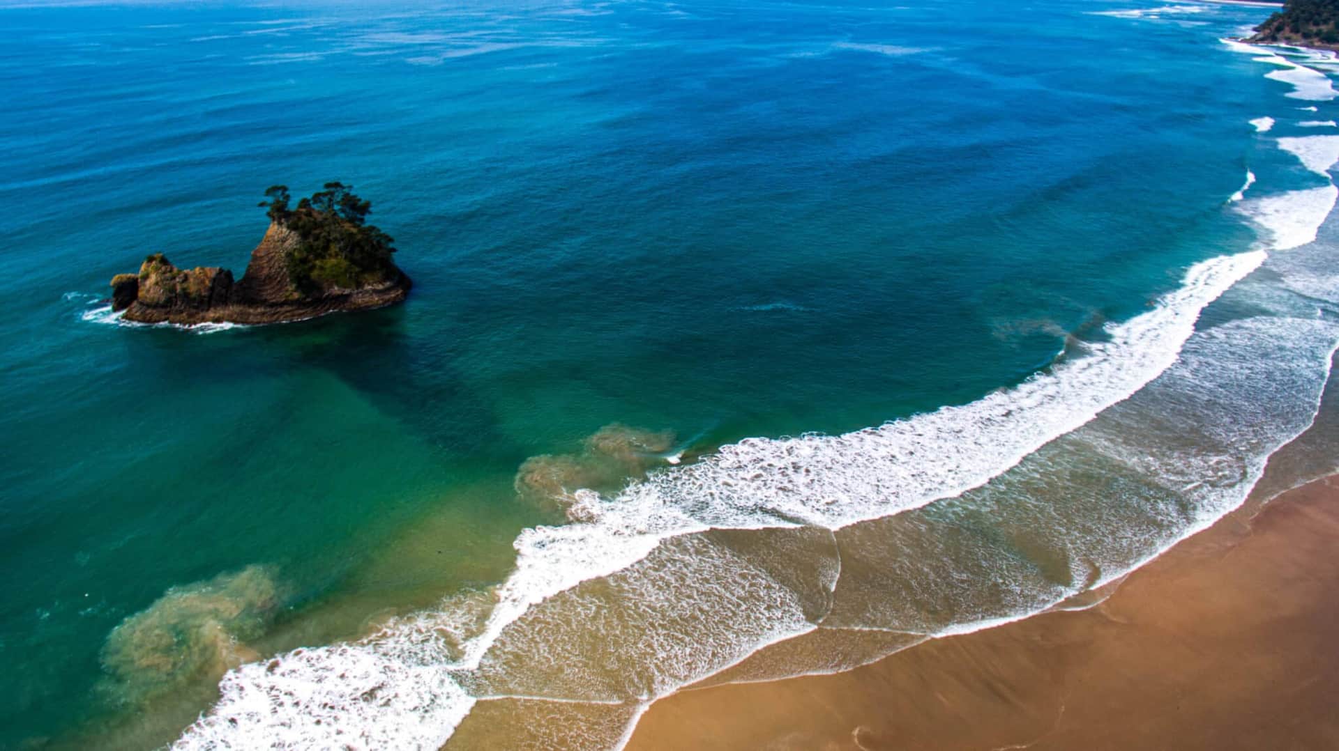 Le guide ultime de New Chums Beach à Coromandel ⛱️