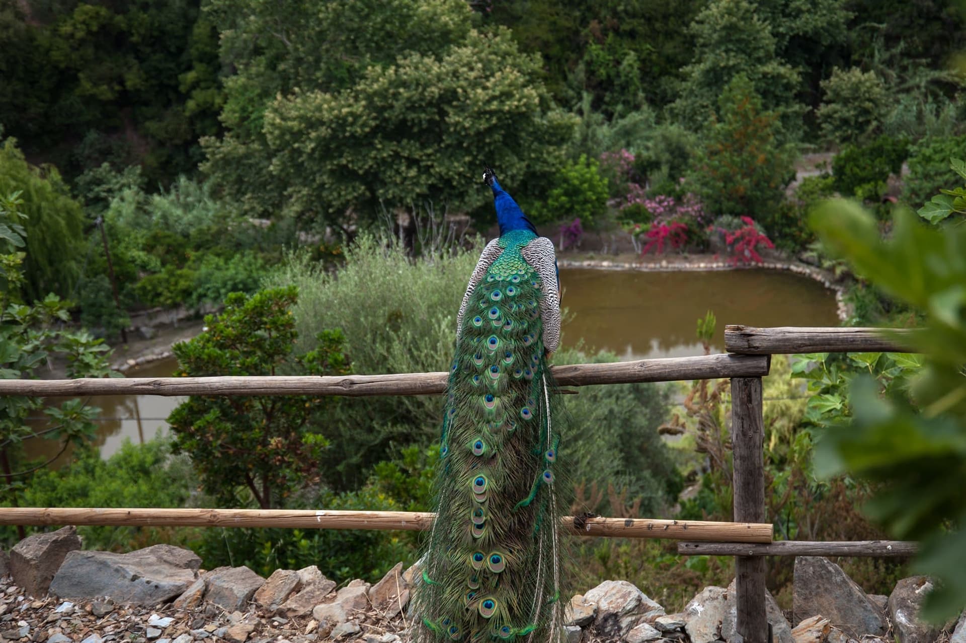 Botanical garden crete — Le Botanical Garden de Crète : Un paradis botanique né des cendres