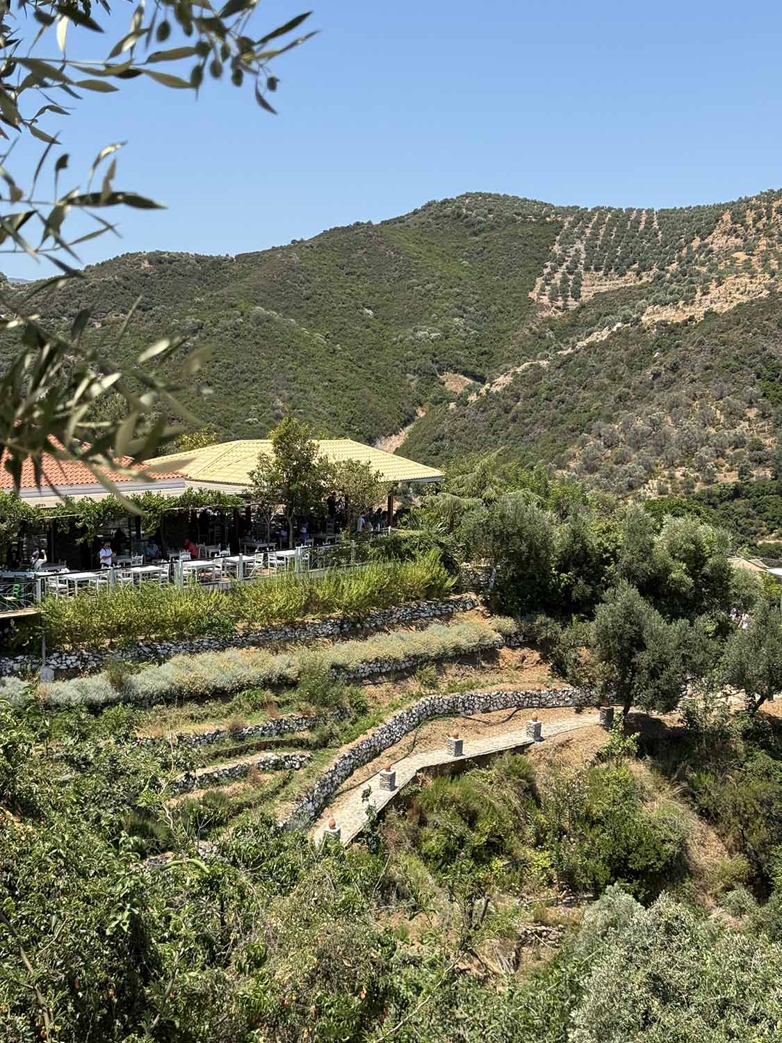 Botanical garden crete — Le Botanical Garden de Crète : Un paradis botanique né des cendres