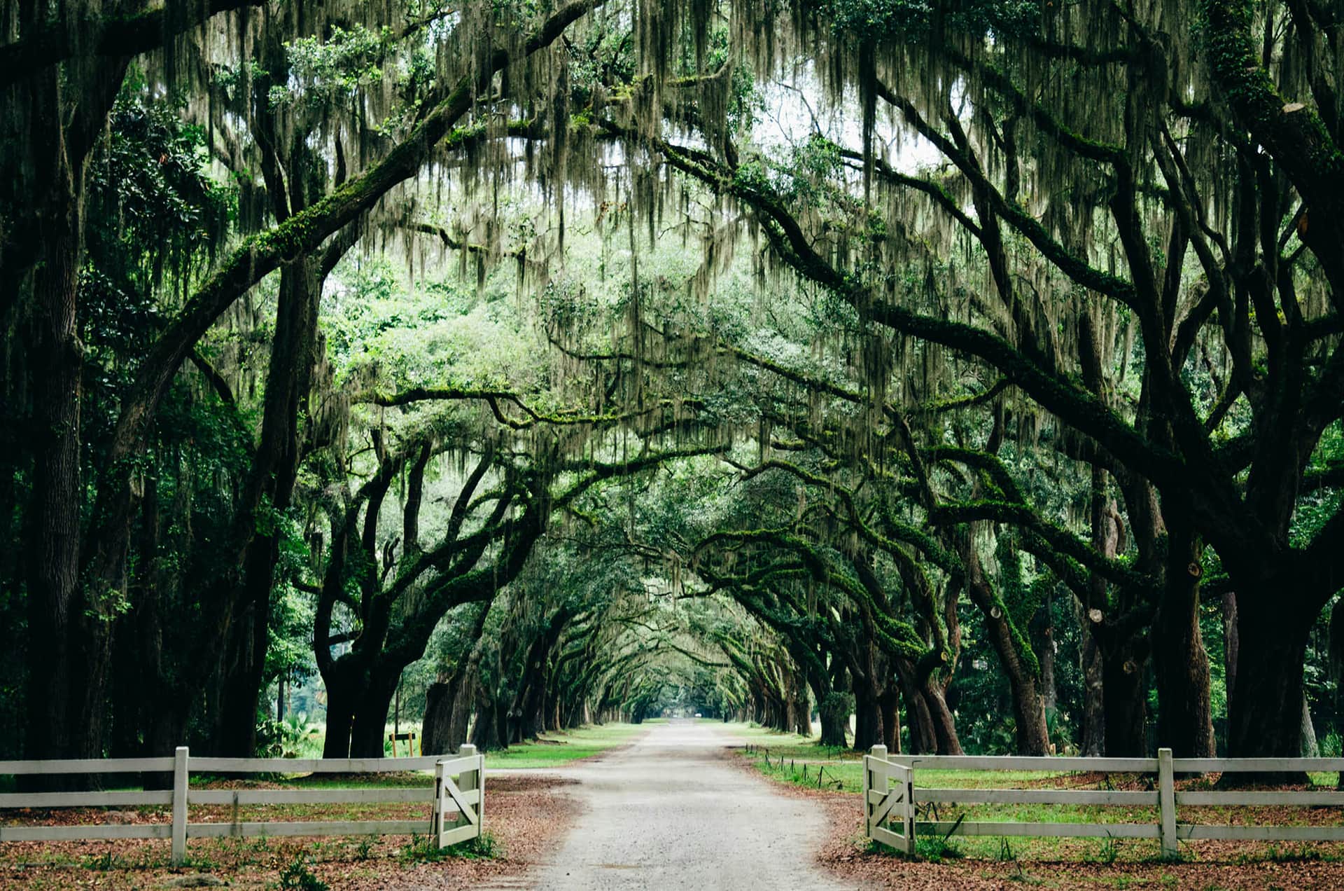 9 des Destinations les Plus Relaxantes aux États-Unis