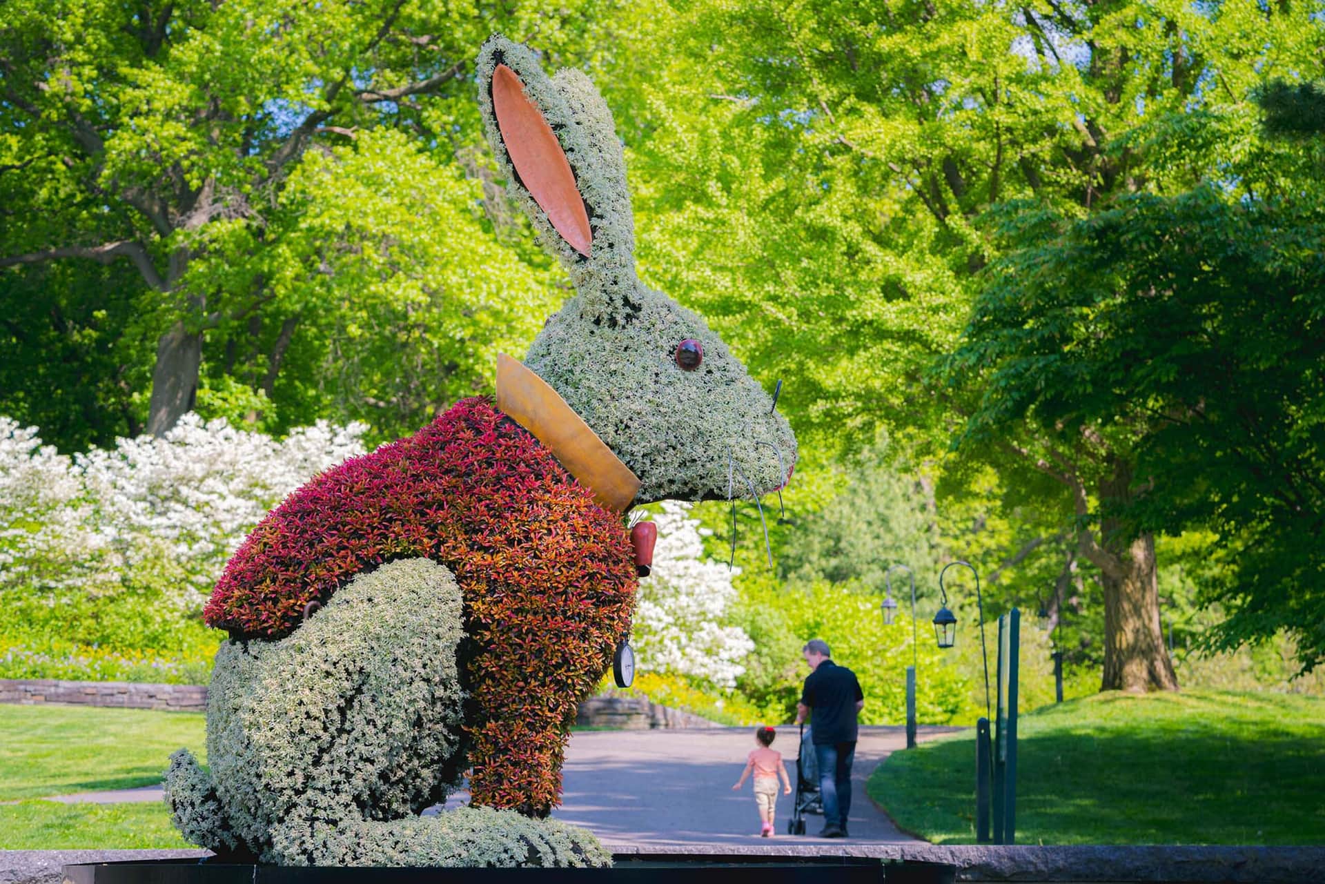 Exposition Wonderland: Curious Nature au Jardin Botanique de New York