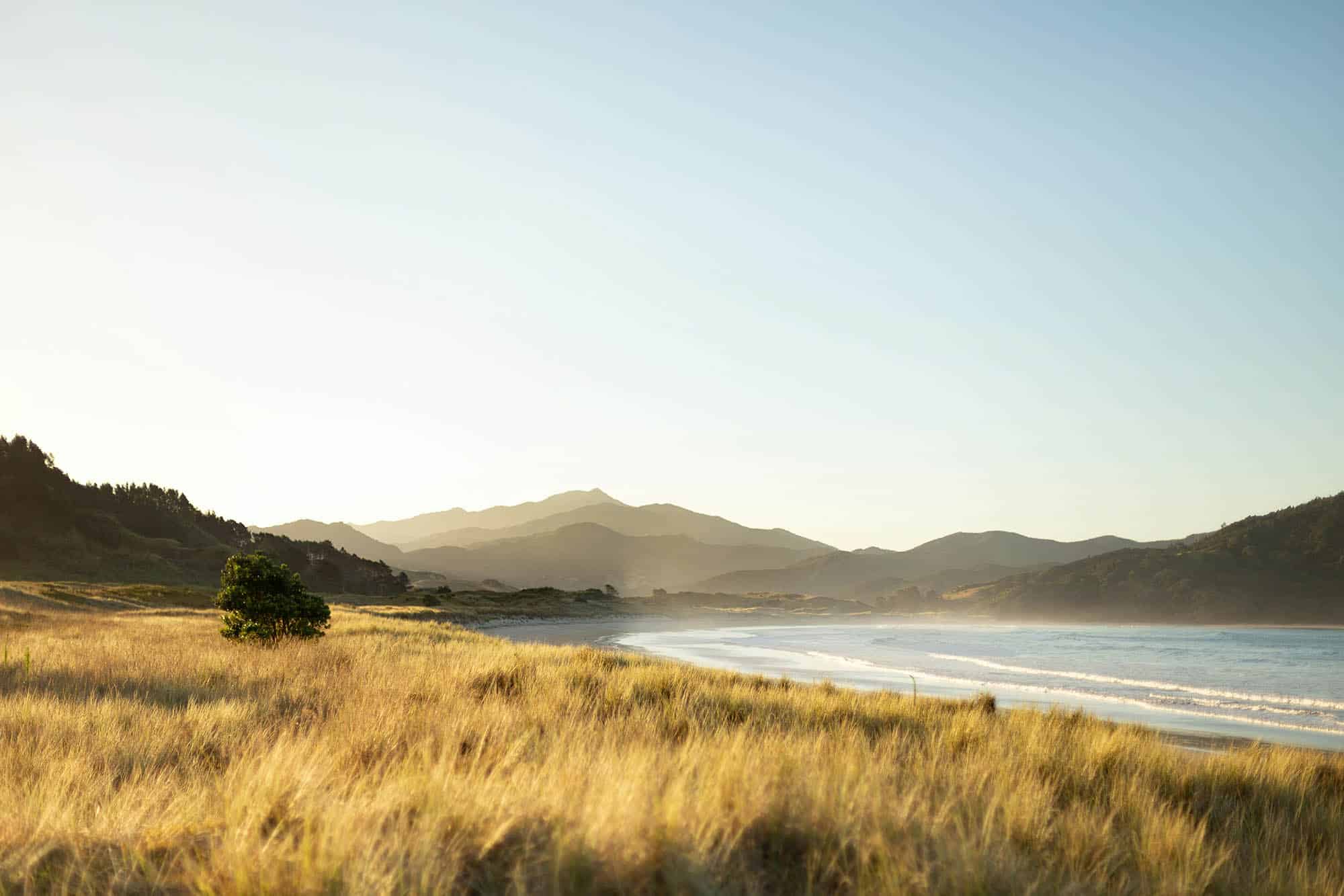 Les 11 plus belles plages de Coromandel : Un paradis à découvrir ️