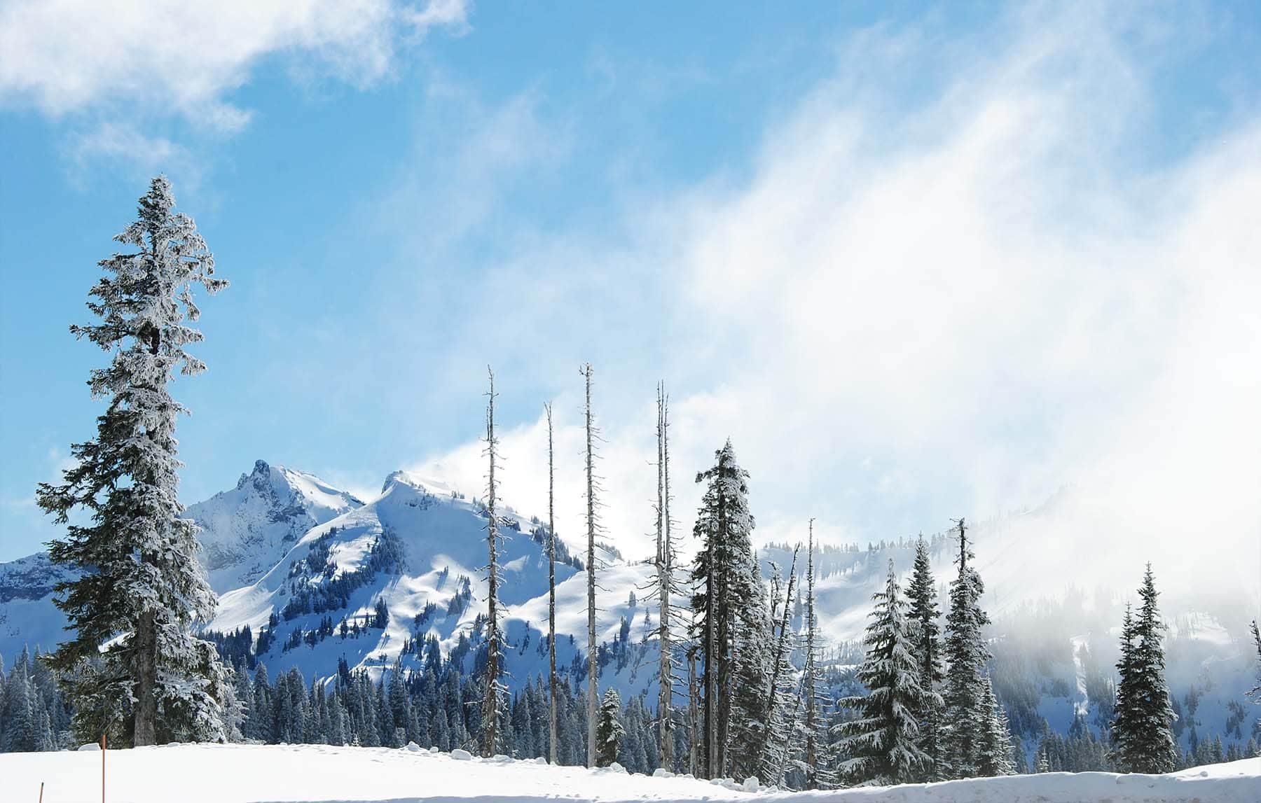 Les 7 endroits où il neige le plus aux États-Unis
