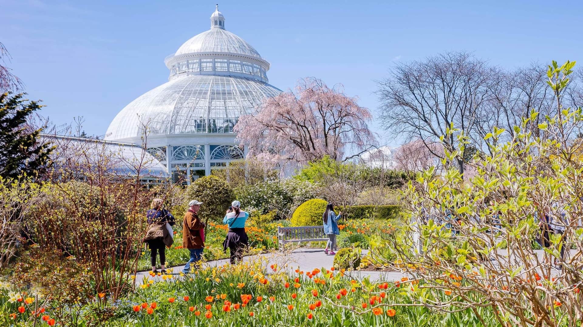 Guide Ultime du New York Botanical Garden dans le Bronx