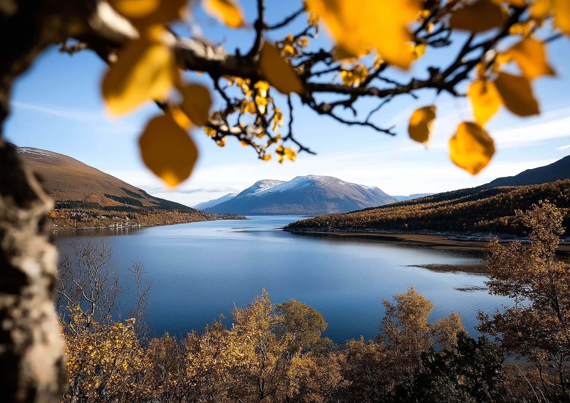 Tromsø en Octobre : Itinéraires, Conseils et Expériences Uniques