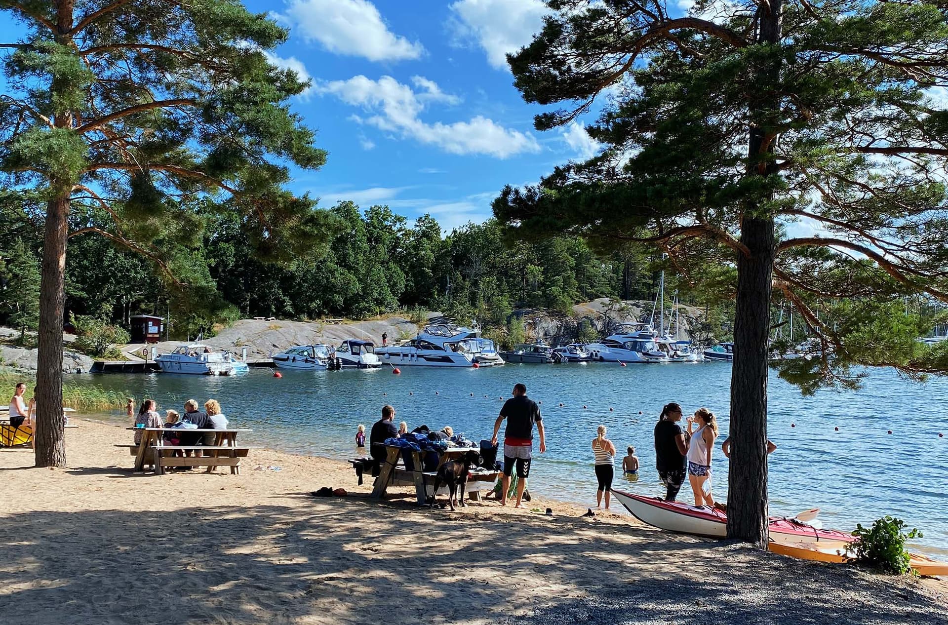 Explorez l'île de Finnhamn