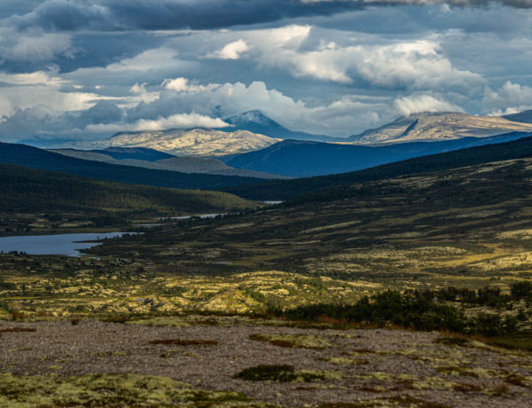 Roadtrip en immersion dans le dovrefjell en Norvège