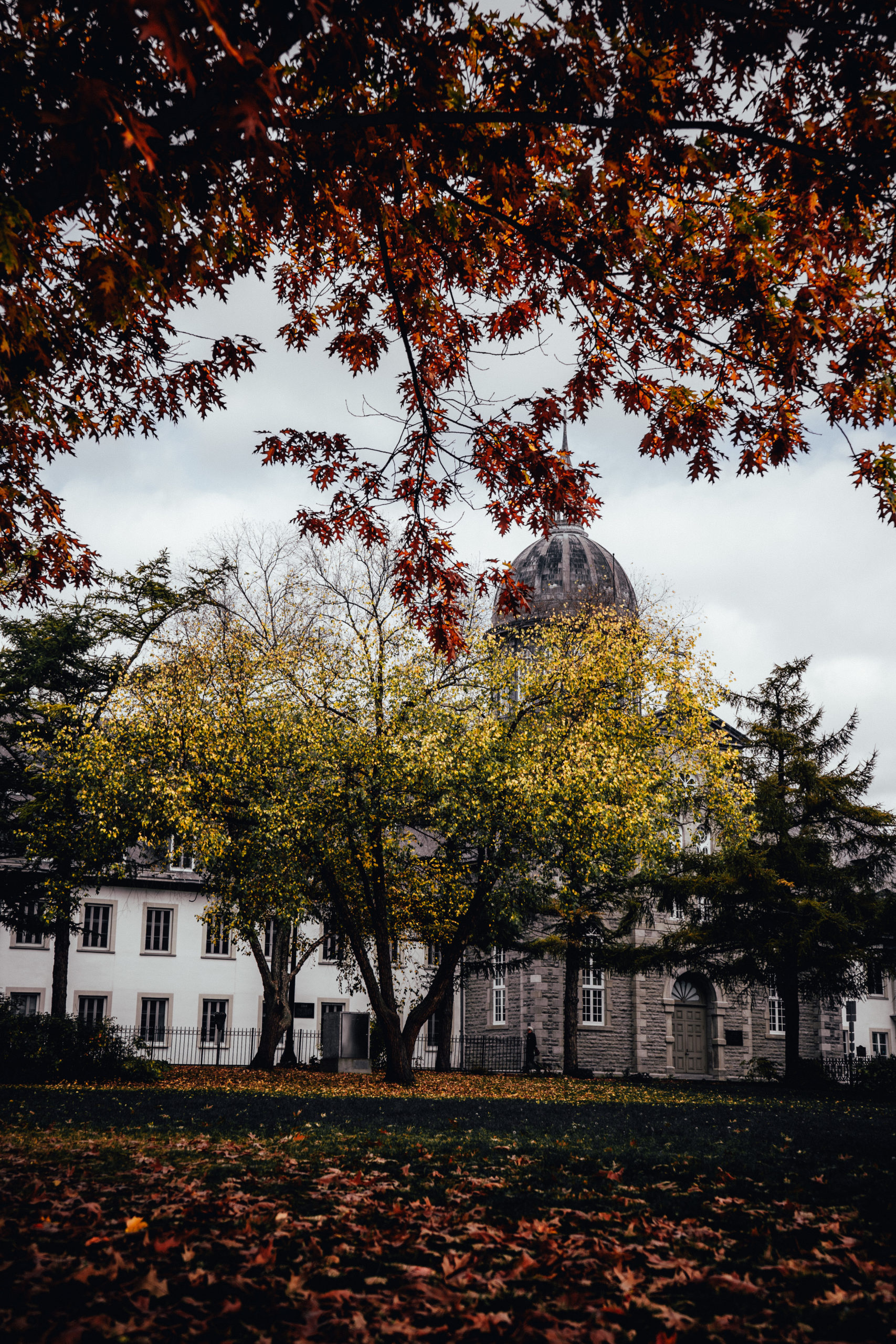 Petit parc aux couleurs d'automne