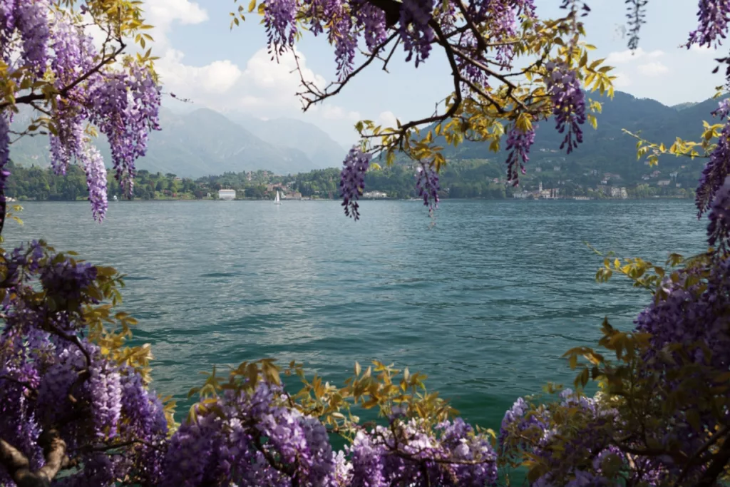 Le printemps au lac de Côme - Quand partir