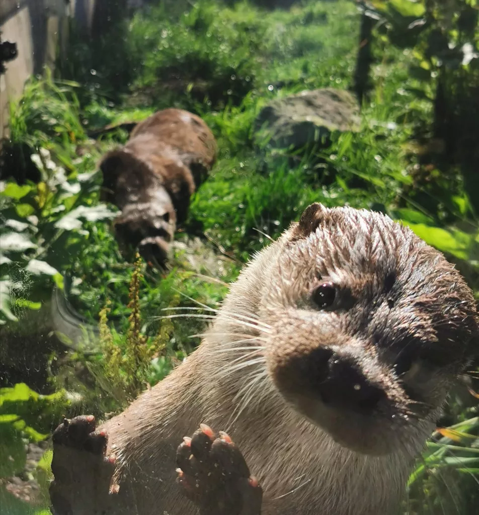 Comment acheter vos billets pour l'aquarium de Bergen ?