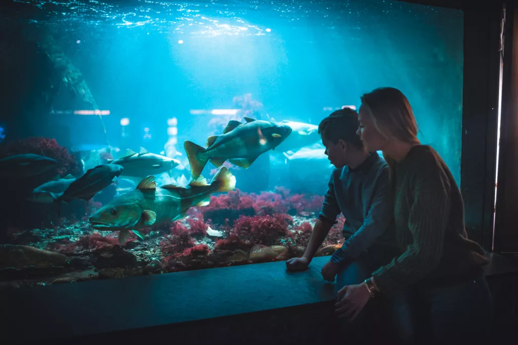 Découvrez l'aquarium de Bergen