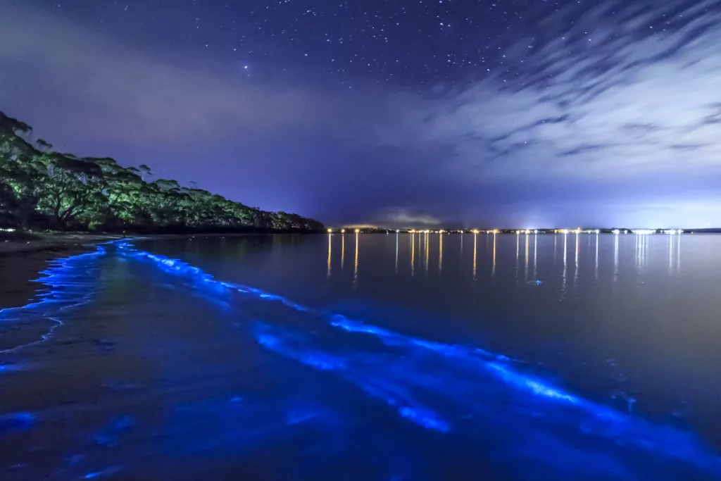 Mosquito Bay, à Puerto Rico