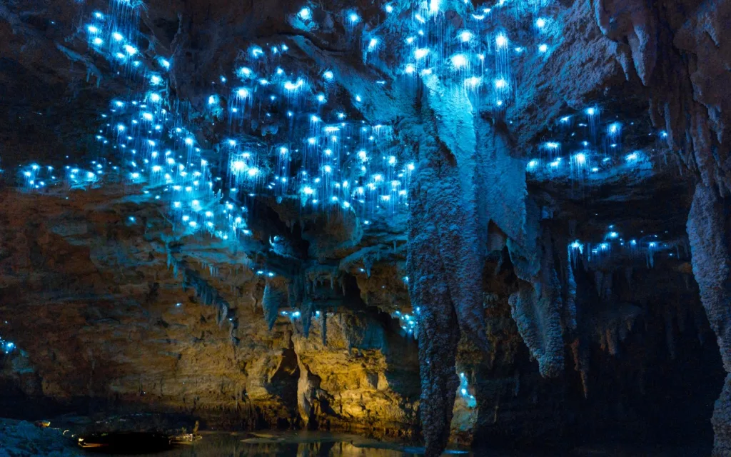 Découvrez la magnifique grotte en Nouvelle Zélande