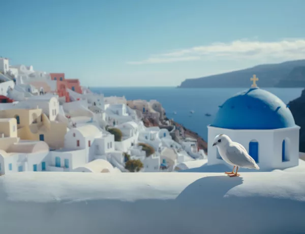 Découvrez la faune et la flore de Santorin