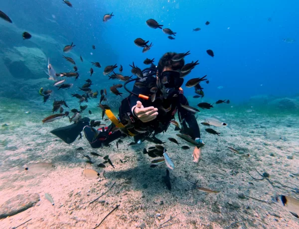 Faire de la plongée sous-marine à Santorin