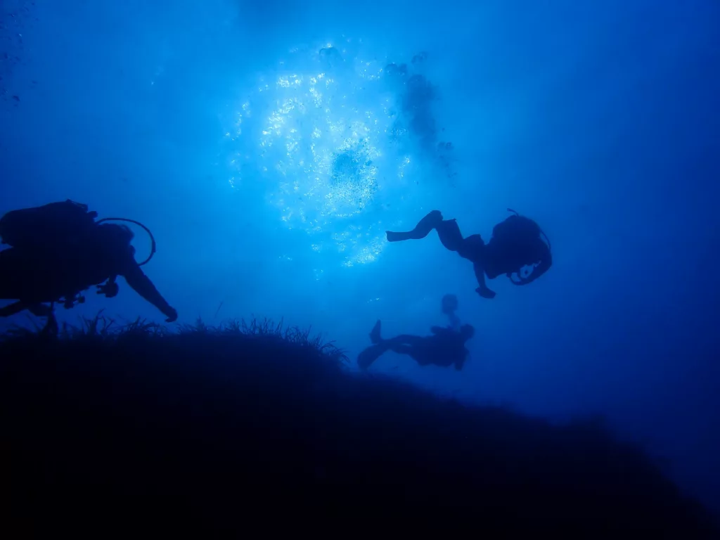 Les splandeurs sous-marines de l’île