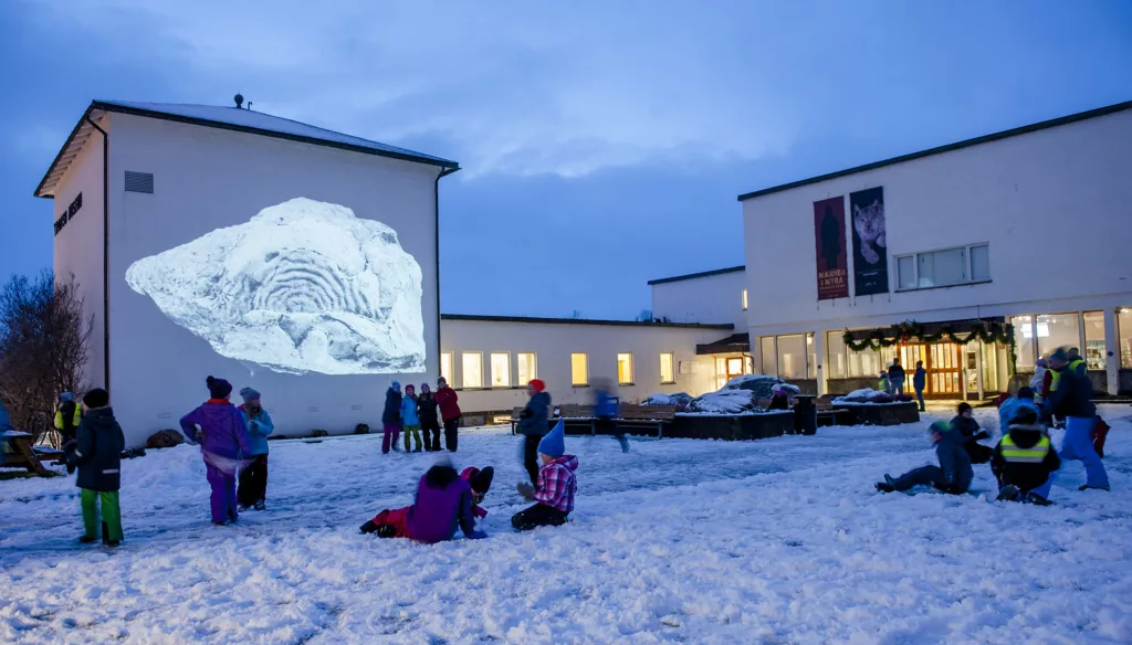 Visitez l'Arctic University Museum of Norway à Tromsø