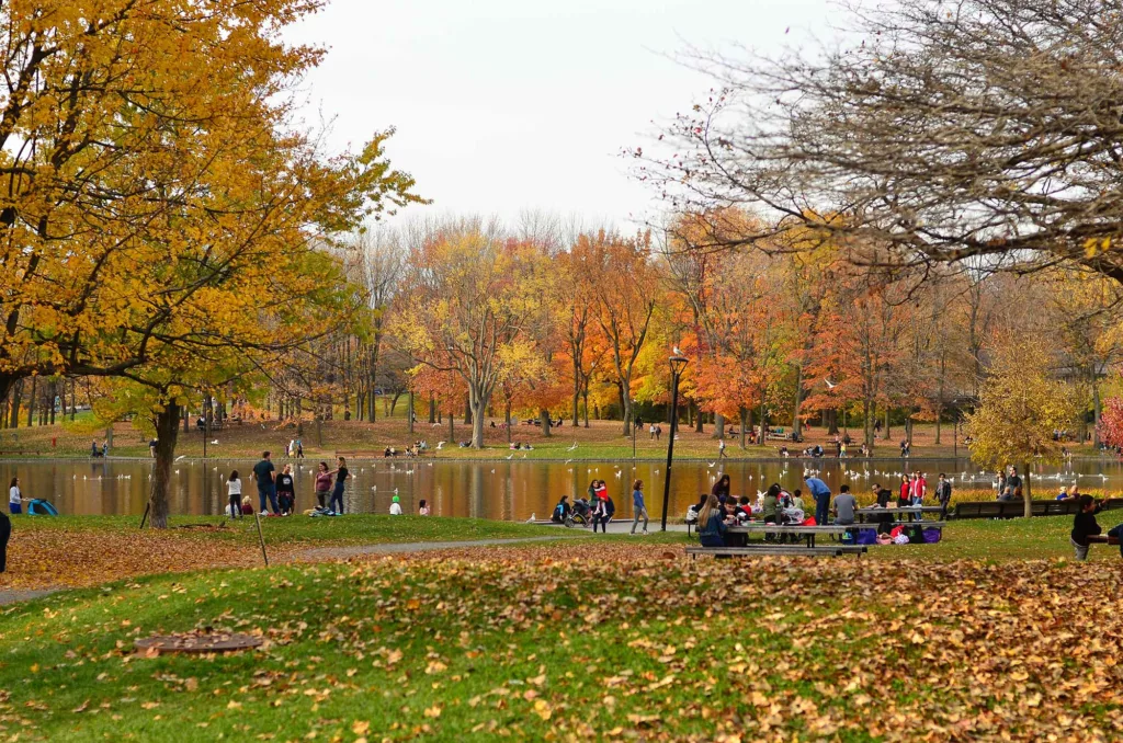 Découvrir le Mont Royal à Montréal